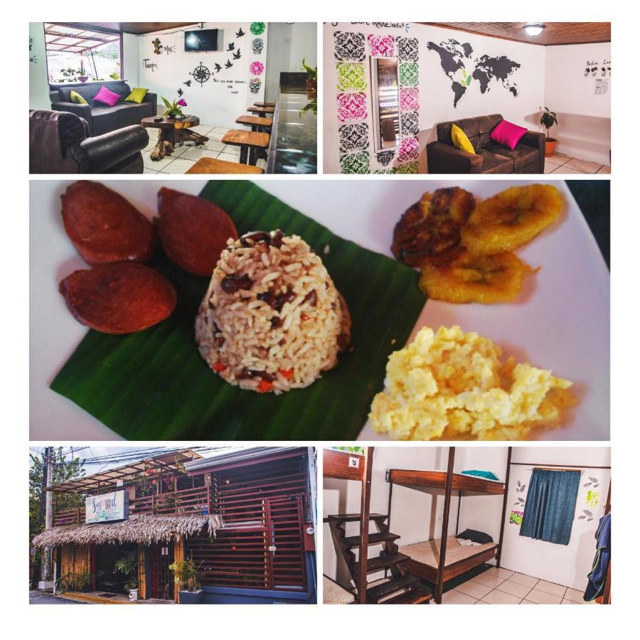 Passifloras Hostel Quepos Ngoại thất bức ảnh